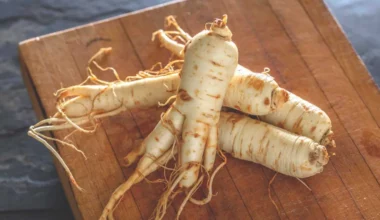 Exploring the Remarkable Health Benefits of Ginseng